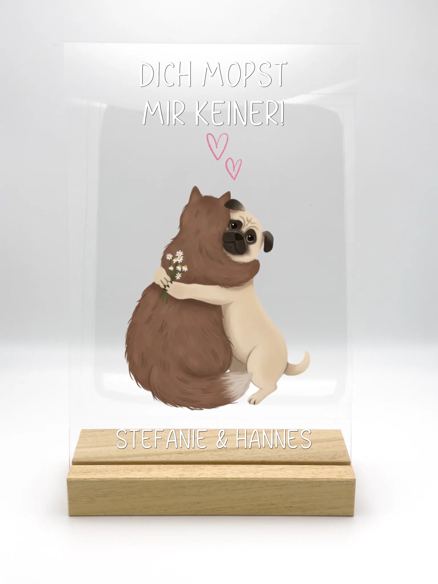 acrylic_glass_20x30_with_ASN20