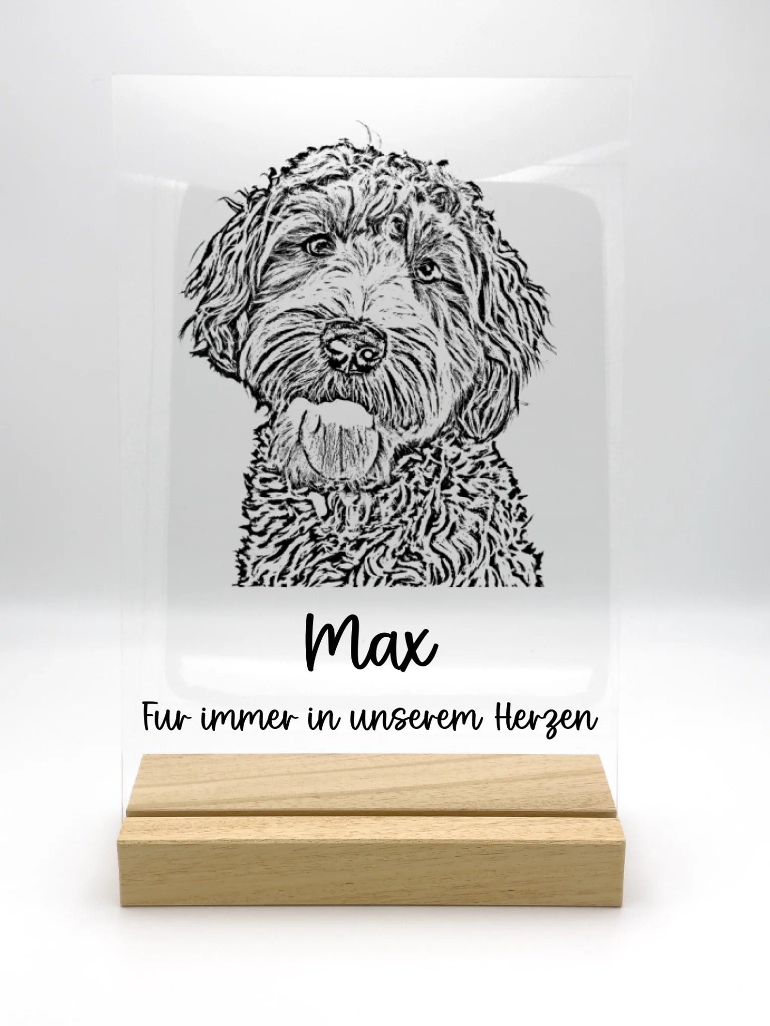 acrylic_glass_20x30_with_ASN20