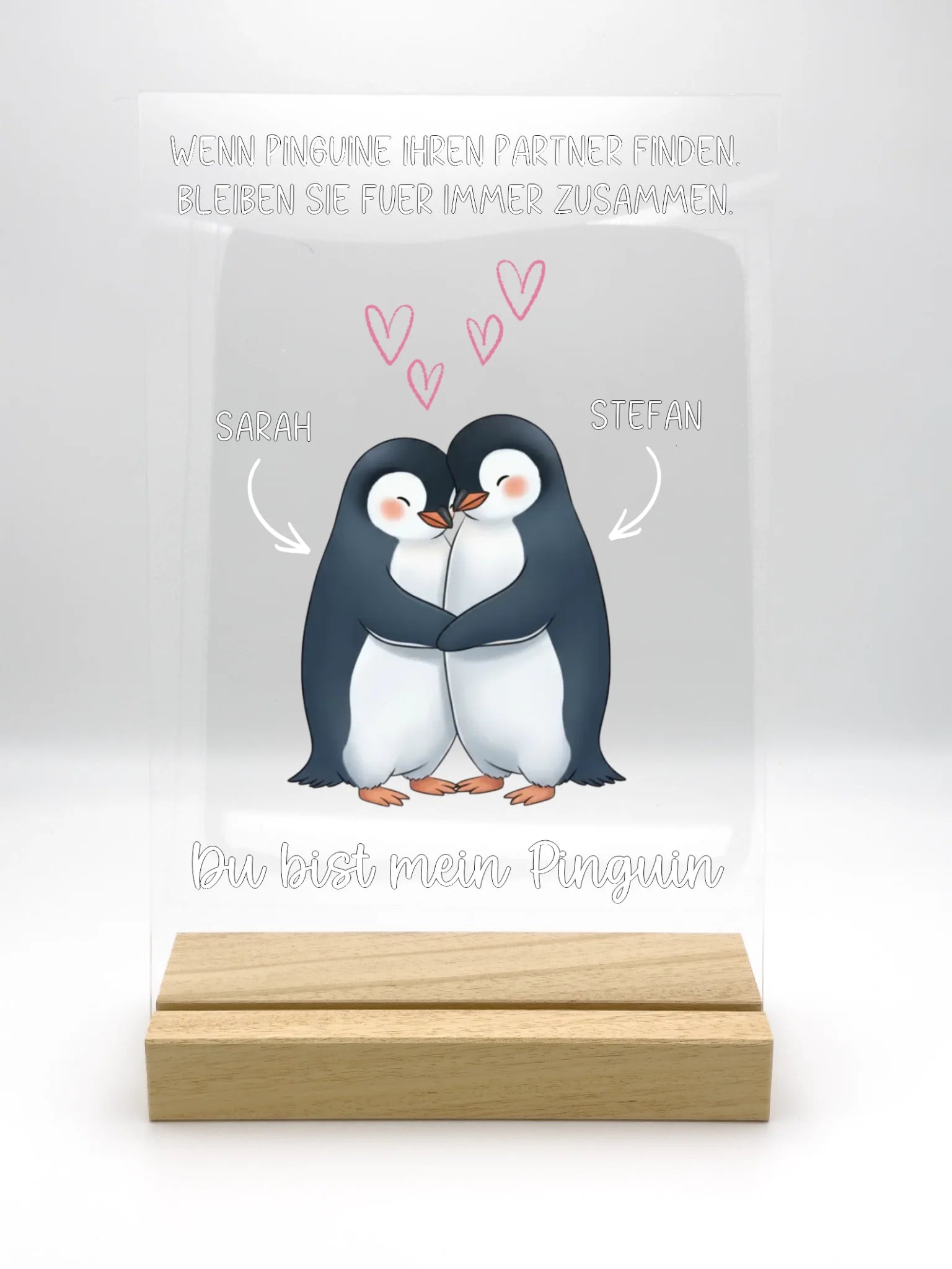 acrylic_glass_20x30_with_ASN20